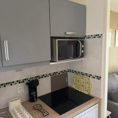 Palme D Azur Апартаменты Канны